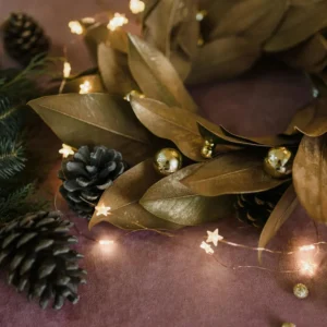 Guirnalda de Luces LED Decorativas
