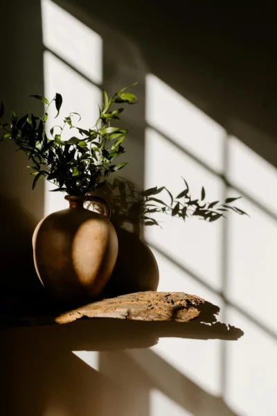 Planta Decorativa con Macetero de Cemento